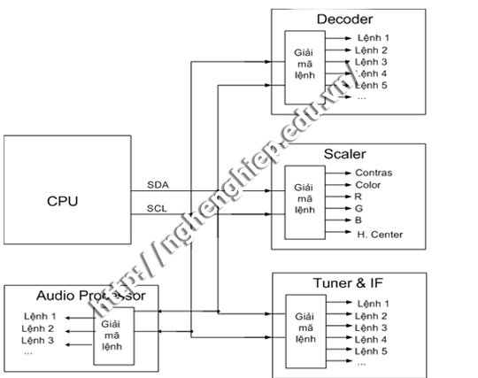 Hình ảnh: CPU điều khiển các thành phần trên máy thông qua các 